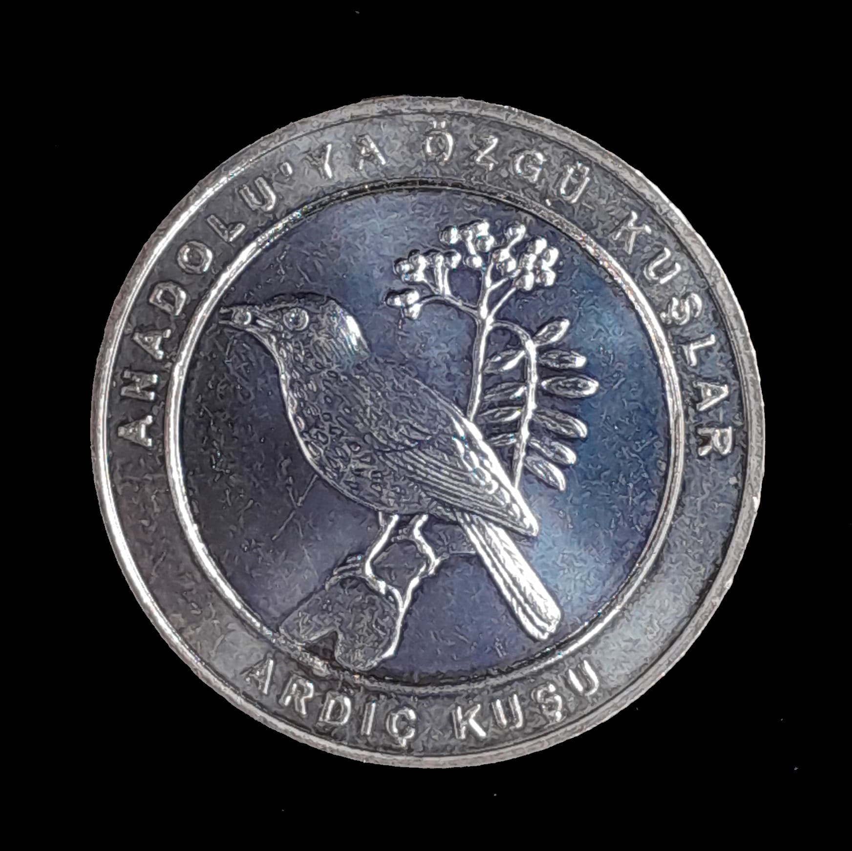 Turquía 1 Kurus 2019 SC KM 1438a Muy escasa