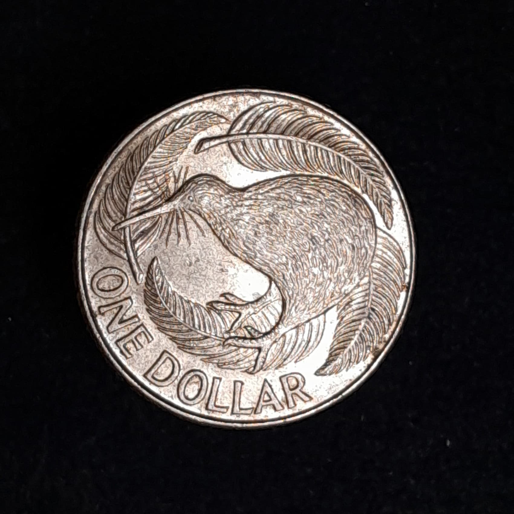 Nueva Zelanda 1 Dólar 1991 Exc KM 78 Fauna Kiwi