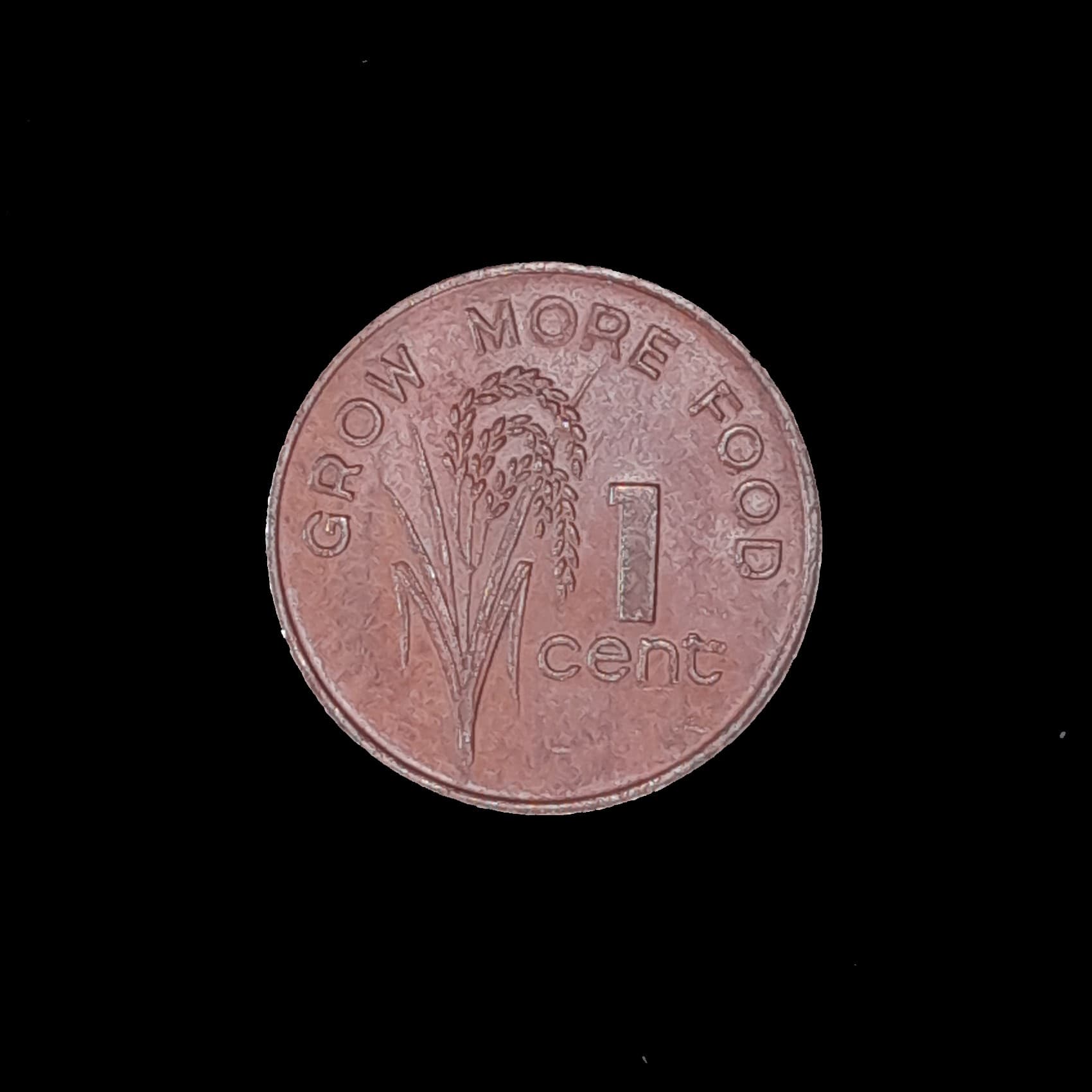 Fiji 1 Cent 1977 Excelente KM 27 Elizabeth II FAO