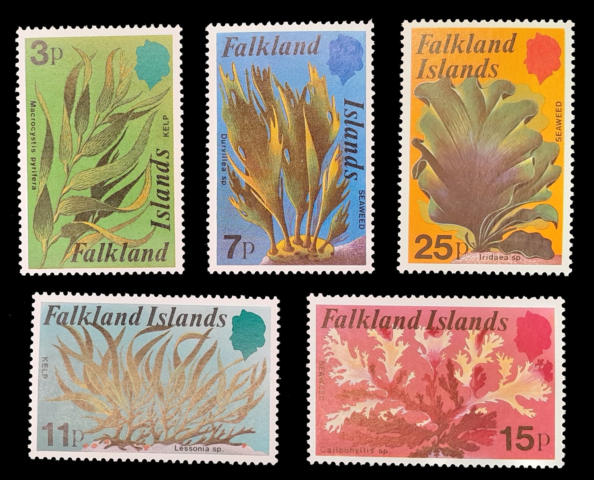 Islas Malvinas 1979 Algas Marinas Nv. Yv. 278/82