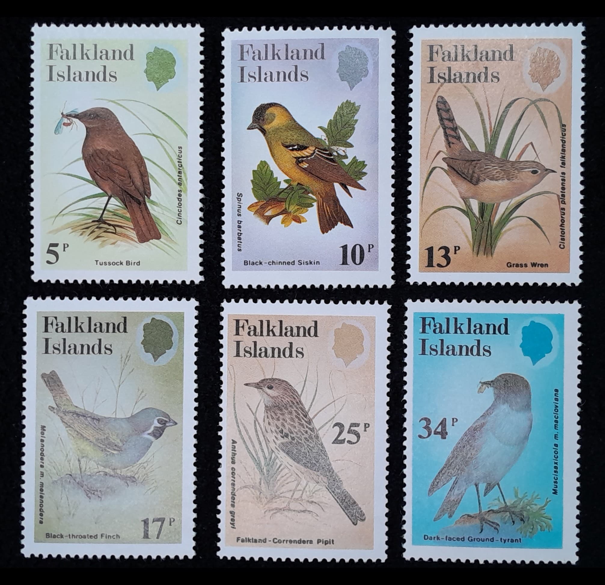 Islas Malvinas 1982 Fauna Aves Nv. Yv. 370/75