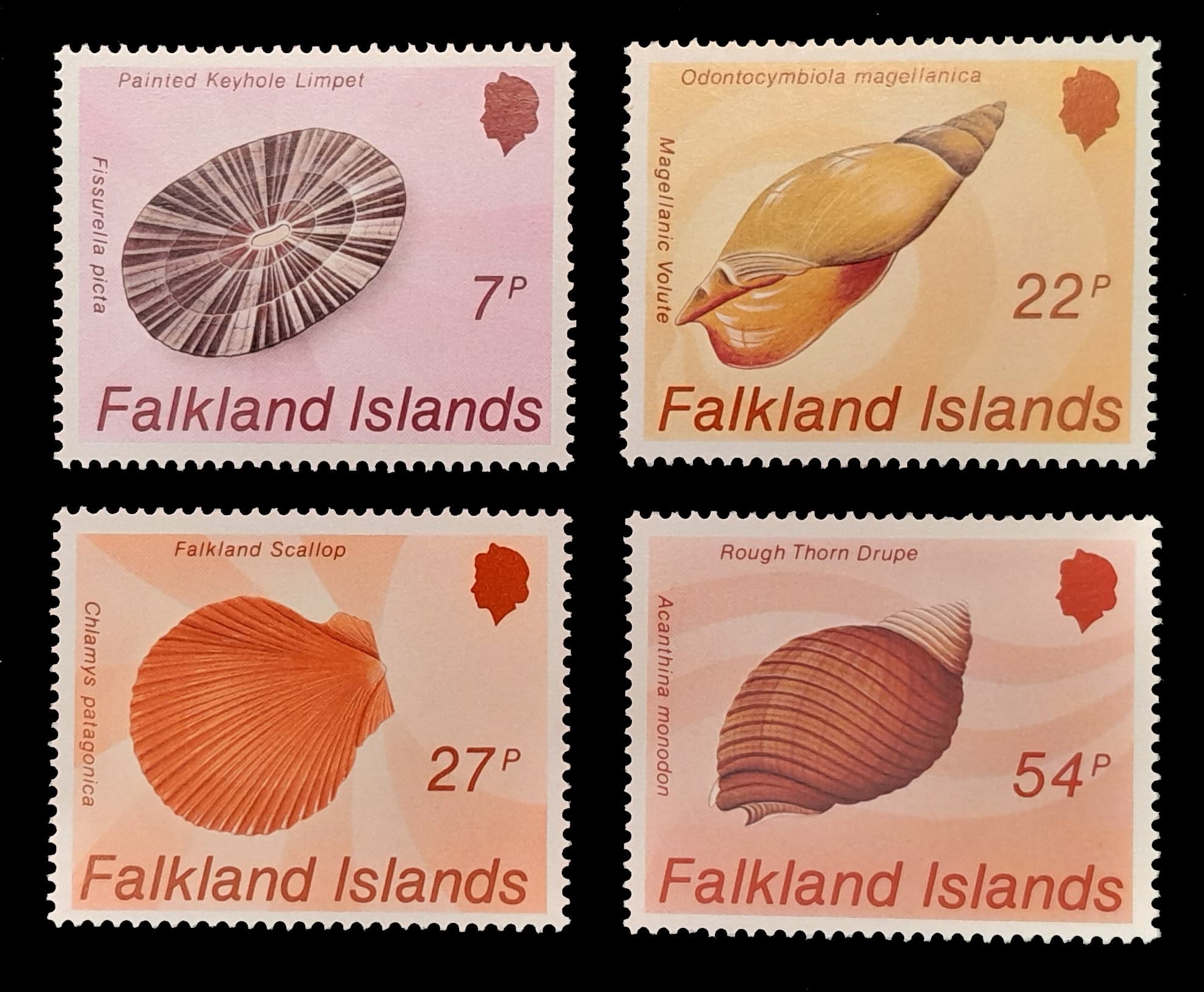 Islas Malvinas 1986 Fauna marina Caracoles Nv. Yv. 452/55